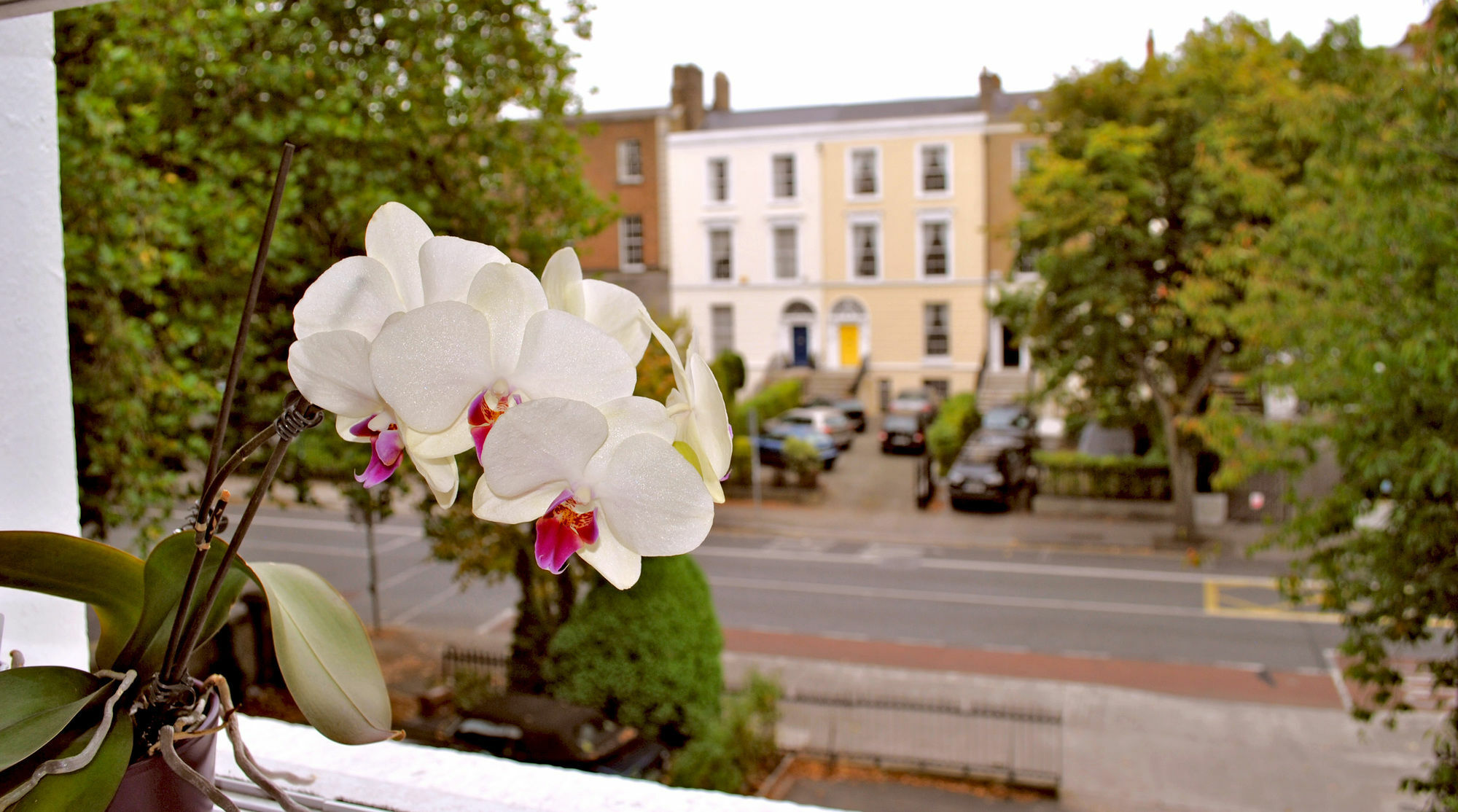 Waterloo Lodge Dublin Exteriér fotografie